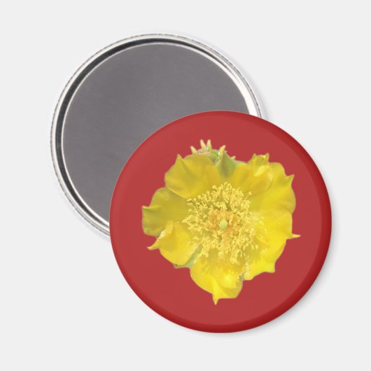 Kaktus-Blume Magnet (Vorderseite/Rückseite)