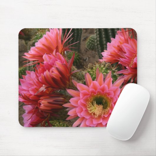 Kaktus-Blume mousepad (Mit Mouse)