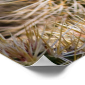 Kaktus-Blume Poster (Ecke)