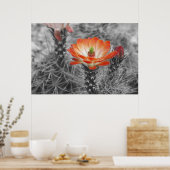 Kaktus-Blume Poster (Küche)