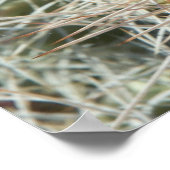 Kaktus-Blume Poster (Ecke)