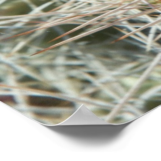 Kaktus-Blume Poster (Ecke)