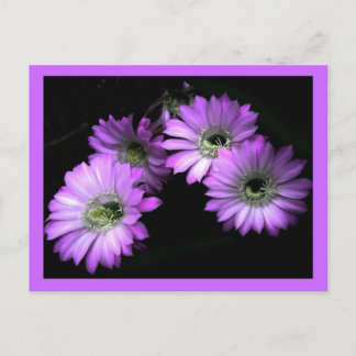 Kaktus-Blume Postkarte