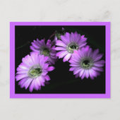 Kaktus-Blume Postkarte (Vorderseite)