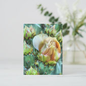 Kaktus-Blume Postkarte (Stehend Vorderseite)
