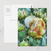 Kaktus-Blume Postkarte (Vorne/Hinten)