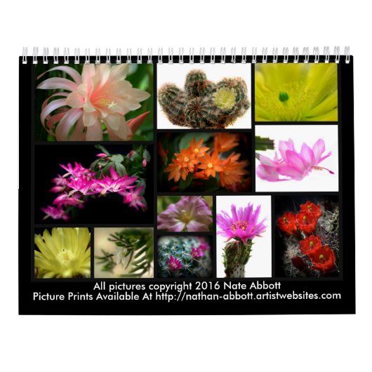 Kaktus-Blumen Kalender (Rückseite)