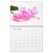 Kaktus-Blumen Kalender (Jan 2027)