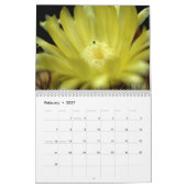 Kaktus-Blumen Kalender (Feb 2027)