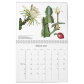 Kaktus-Blumen-Kalender Kalender (Mär 2027)