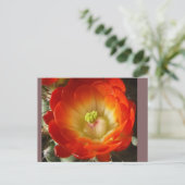 Kaktus-Blumen-Postkarte Postkarte (Stehend Vorderseite)