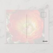 Kaktus-Blumen-Postkarte Postkarte (Rückseite)