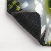 Kaktus-Blüte Mousepad (Ecke)