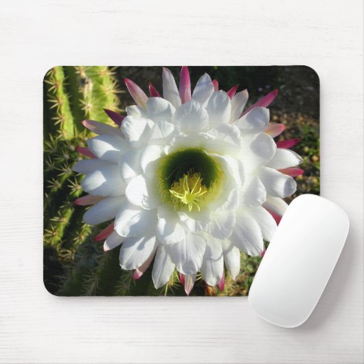 Kaktus-Blüte Mousepad (Mit Mouse)