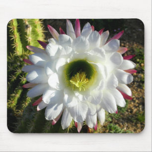 Kaktus-Blüte Mousepad