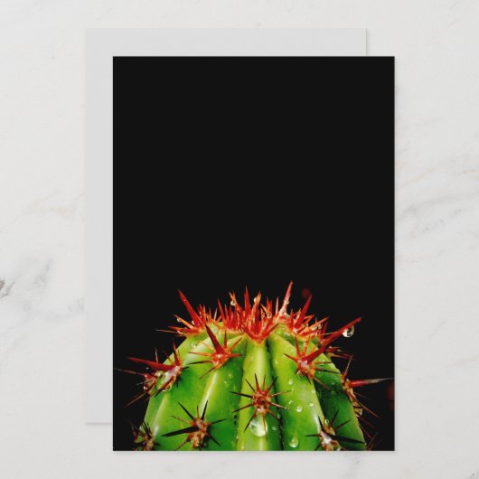 Kaktus Feiertagskarte (Vorne/Hinten)