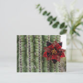 Kaktus Feiertagspostkarte (Stehend Vorderseite)