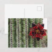 Kaktus Feiertagspostkarte (Vorne/Hinten)
