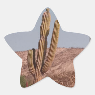 Kaktus-Fotokleber Stern-Aufkleber