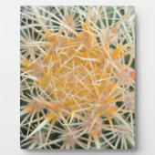 Kaktus Fotoplatte (Vorderseite)