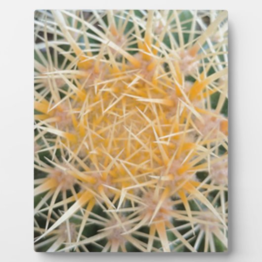 Kaktus Fotoplatte (Vorderseite)