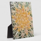 Kaktus Fotoplatte (Seite)