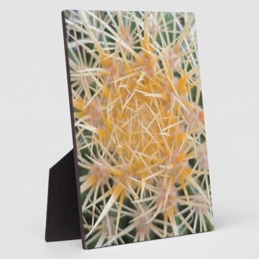 Kaktus Fotoplatte (Seite)