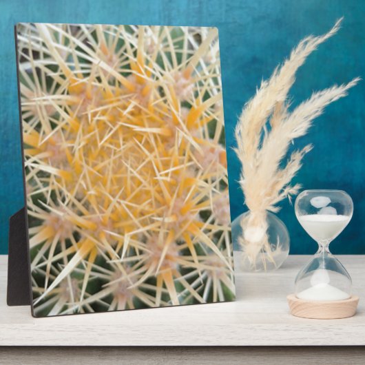 Kaktus Fotoplatte (Seite)