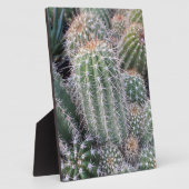 Kaktus Fotoplatte (Seite)