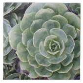 Kaktus-Garten Fliese (Vorderseite)