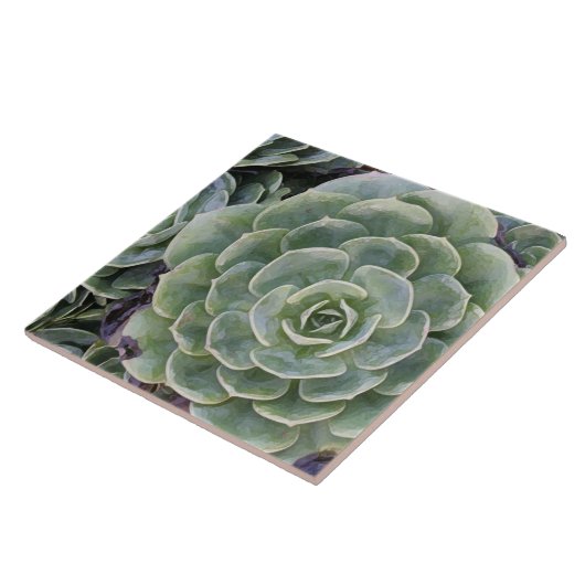 Kaktus-Garten Fliese (Seite)