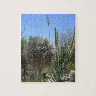 Kaktus-Garten Puzzle