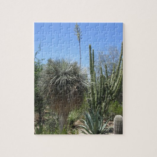 Kaktus-Garten Puzzle (Vertikal)