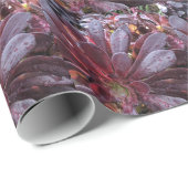 Kaktus Geschenkpapier (Rolleneckpunkt)