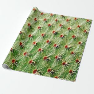 Kaktus Geschenkpapier