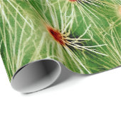 Kaktus Geschenkpapier (Rolleneckpunkt)