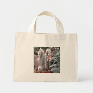 Kaktus-Geschenktasche Mini Stoffbeutel