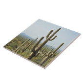 Kaktus im Saguaro-Nationalpark, Arizona 2 Fliese (Seite)