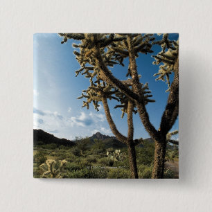 Kaktus im Saguaro-Nationalpark, Arizona Button