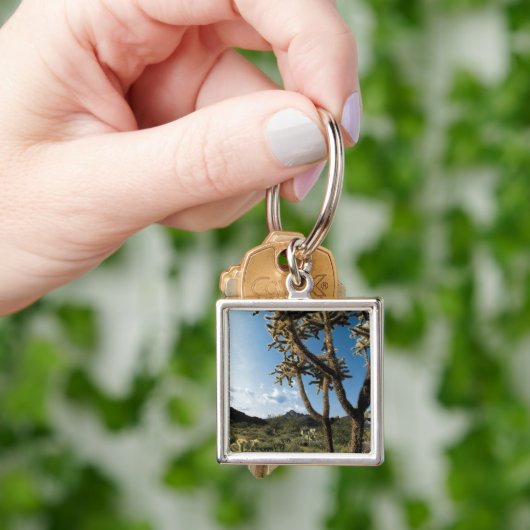 Kaktus im Saguaro-Nationalpark, Arizona Schlüsselanhänger (Hand)