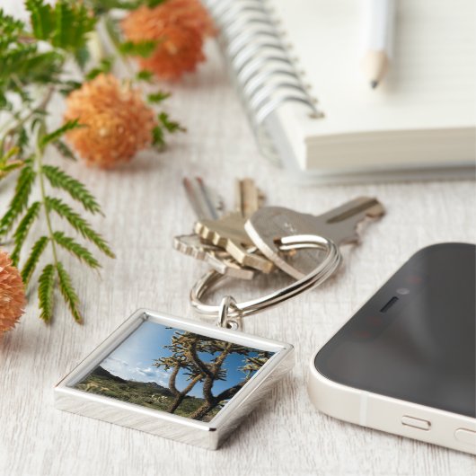 Kaktus im Saguaro-Nationalpark, Arizona Schlüsselanhänger (Seite)