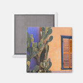 Kaktus im Südwesten (Opuntia-Dejekta) und Magnet (Vorderseite/Rückseite)