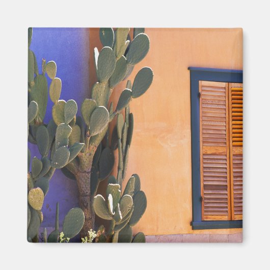 Kaktus im Südwesten (Opuntia-Dejekta) und Magnet (Vorne)