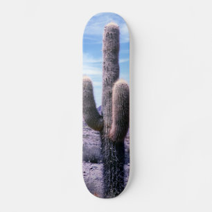 Kaktus in der Provinz Jujuy - Nordargentinien Skateboard