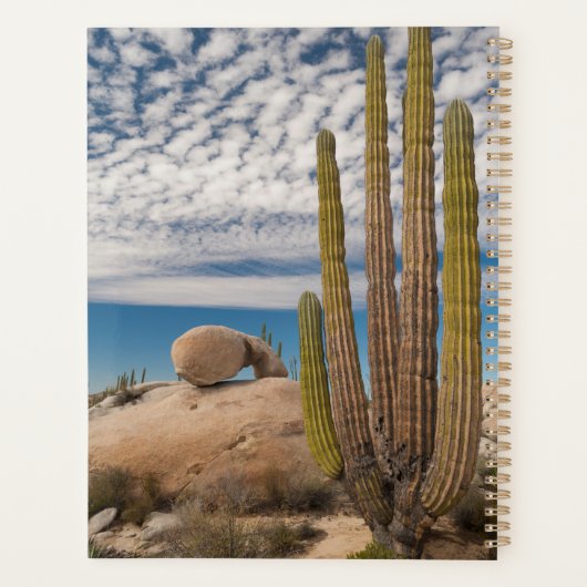 Kaktus in der Wüste Landschaftlich Planer (Rückseite)