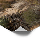 Kaktus in der Wüste Landschaftlich Poster (Ecke)