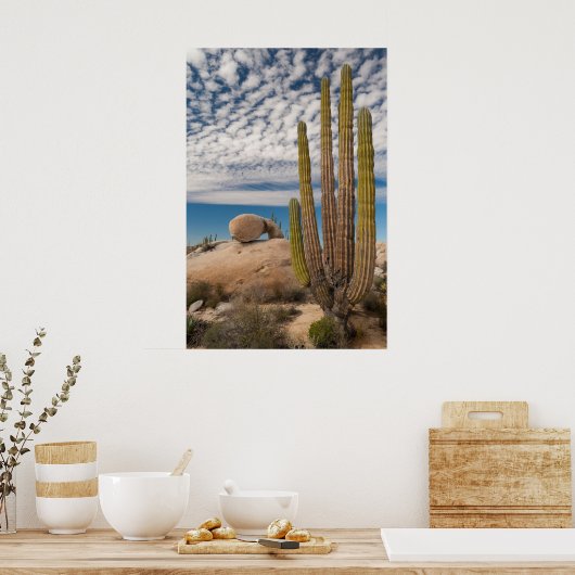 Kaktus in der Wüste Landschaftlich Poster (Küche)