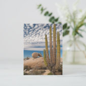 Kaktus in der Wüste Landschaftlich Postkarte (Stehend Vorderseite)