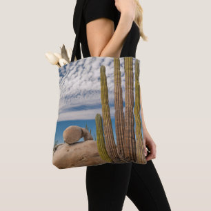 Kaktus in wüstenhafter Landschaft Tasche