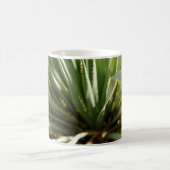 Kaktus Kaffeetasse (Mittel)